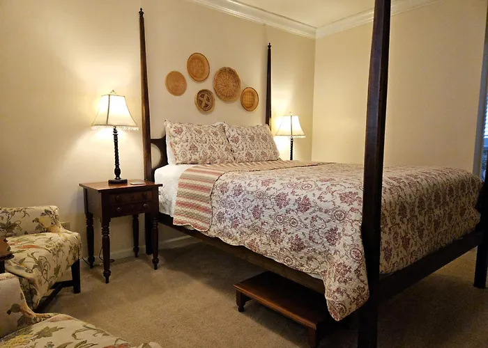 Tree Bed & Breakfast