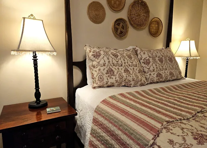 Bed and breakfast Tree