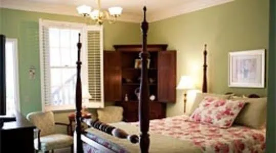 Tree Bed & Breakfast
